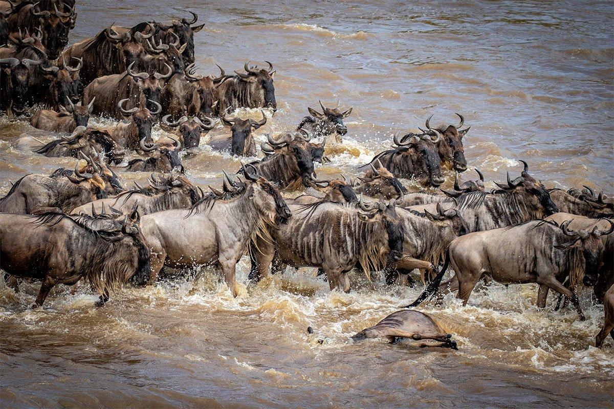 Kenya Travel